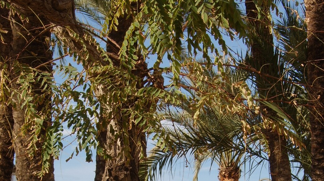 Foto “Playa de Mal Pas” tomada por Ramon DE LA FUENTE (CC BY-SA); recorte de la original