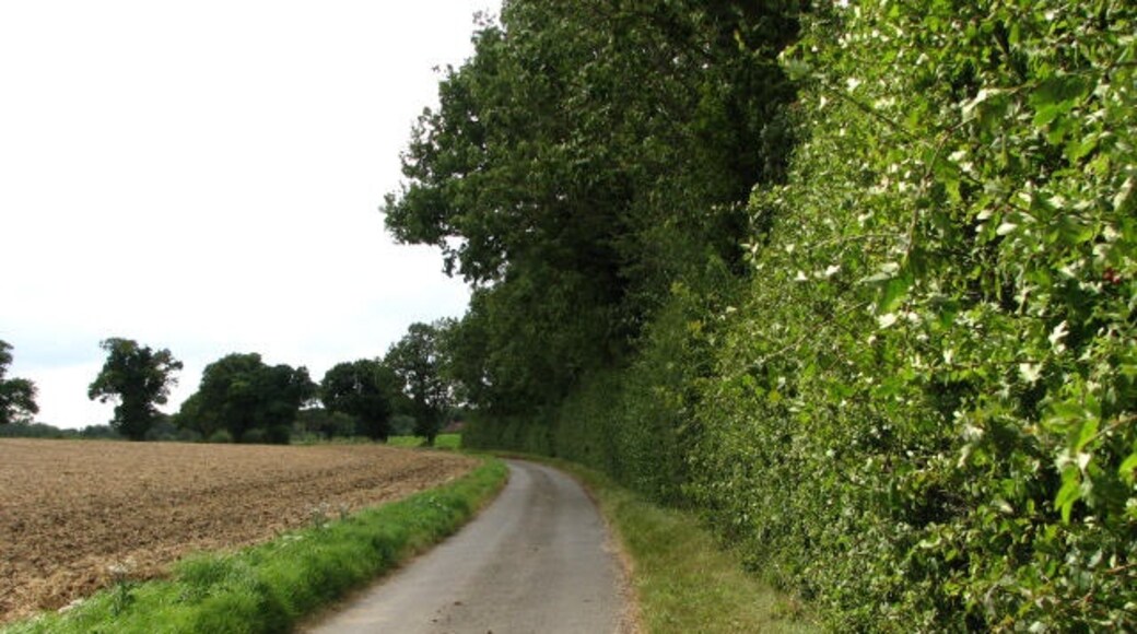 Photo "Antingham" by Evelyn Simak (CC BY-SA) / Cropped from original