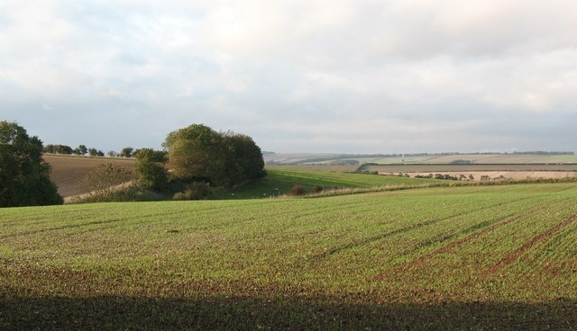 Photo "Luttons" by Gordon Hatton (CC BY-SA) / Cropped from original