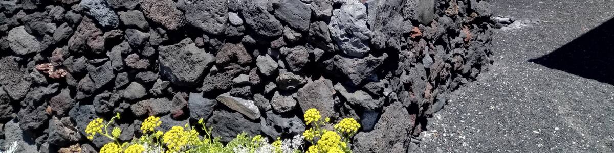Photo "Charco Manso, El Hierro. Hermosa piscina natural con estructuras adaptadas al ocio." by Tanrod (Creative Commons Attribution-Share Alike 4.0) / Cropped from original