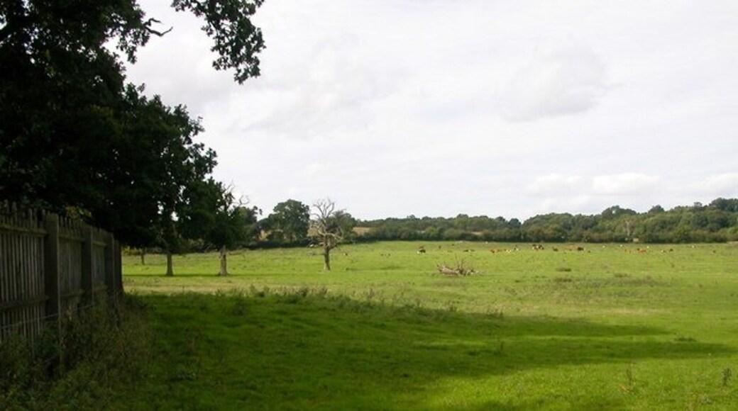 Foto “Preston Capes” tomada por Ian Rob (CC BY-SA); recorte de la original