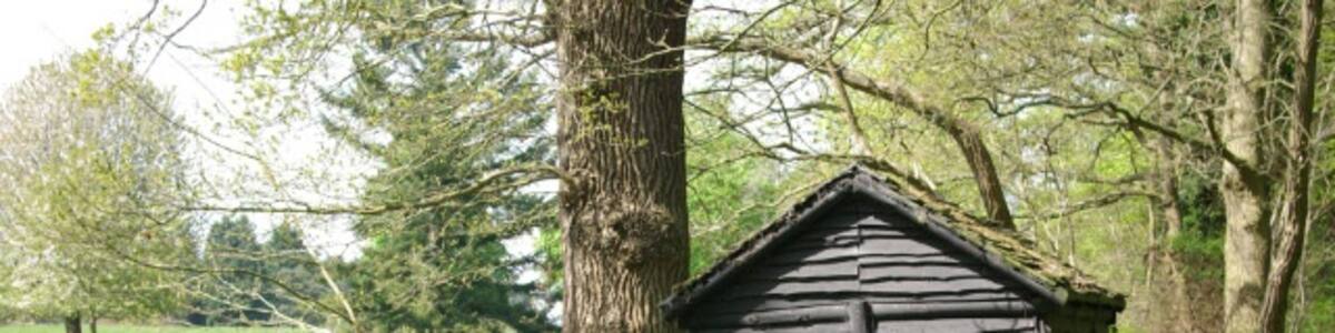 Photo "Bus shelter, Santon Downham Despite appearances, this rough wooden hut is in fact a bus shelter. Buses between Brandon and Thetford are either routed this way, calling here at Santon Downham church, or via Elveden." by Stephen McKay (Creative Commons Attribution-Share Alike 2.0) / Cropped from original