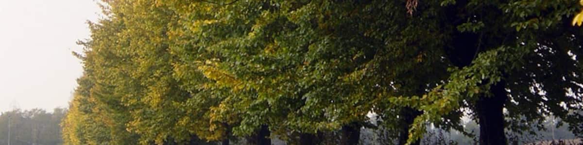 Photo "Villa Arconati 10/2005" by adirricor (Creative Commons Attribution 3.0) / Cropped from original