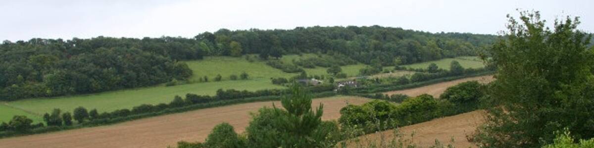 Photo "Sutton Hook Wood. looking from Ansdore Kent" by Roy Gray (Creative Commons Attribution-Share Alike 2.0) / Cropped from original