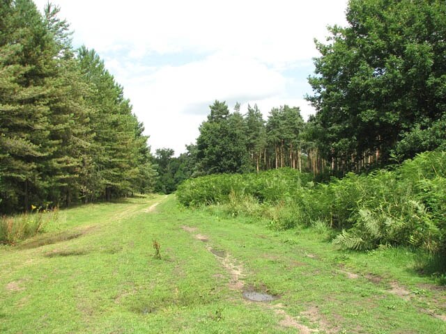 Foto "Hockham" de Evelyn Simak (CC BY-SA) / Recortada do original