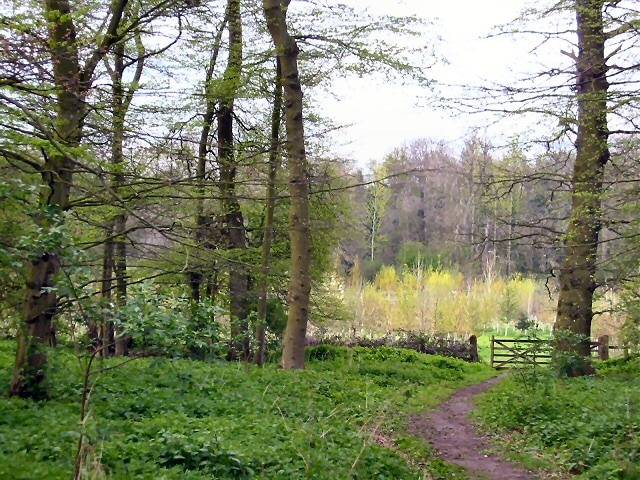 Photo "Wymondley" by Paul Dixon (CC BY-SA) / Cropped from original