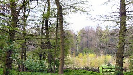 Photo "Wymondley" by Paul Dixon (CC BY-SA) / Cropped from original