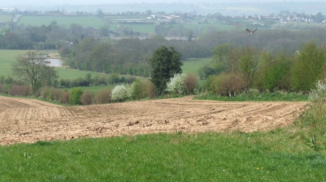 Billede "Romsley" af Roger Kidd (CC BY-SA) / beskåret fra det originale billede
