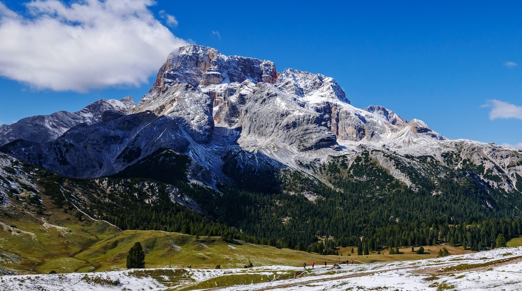 ภาพ "ภูเขาพลัทซ์วีเซอะ" โดย Alexander Hoernigk (CC BY-SA) / ตัดภาพจากขนาดต้นฉบับ