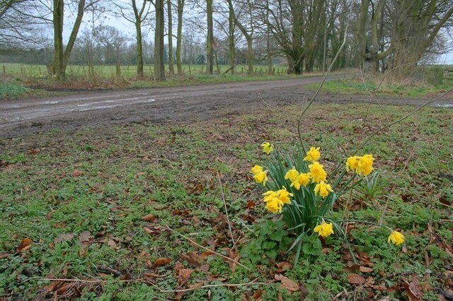 Billede "East Rounton" af Mick Garratt (CC BY-SA) / beskåret fra det originale billede