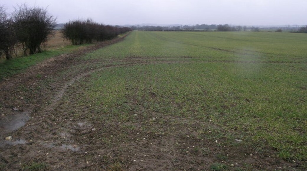 Foto „Yarburgh“ von Michael Patterson (CC BY-SA)/zugeschnittenes Original