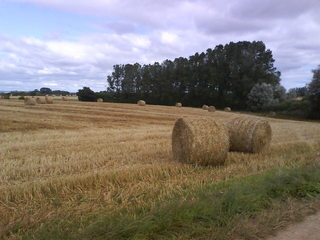 Photo "Thorpe Underwoods" by Matthew Hatton (CC BY-SA) / Cropped from original