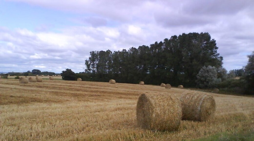 Photo "Thorpe Underwoods" by Matthew Hatton (CC BY-SA) / Cropped from original