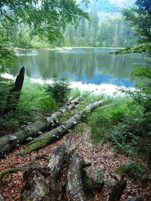 Blick zum Rachelsee Verbannungsort der Hexe Wecklin