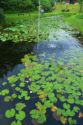 Lotus park
