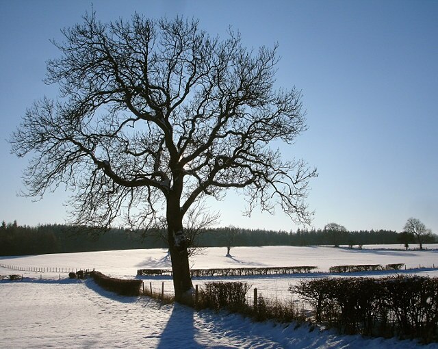 Billede "Startforth" af Andy Waddington (CC BY-SA) / beskåret fra det originale billede