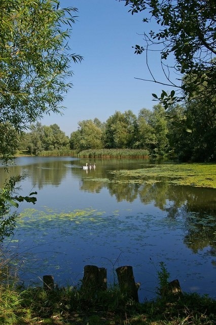 Kuva ”South Ockendon” käyttäjältä Glyn Baker (CC BY-SA) / rajattu alkuperäisestä kuvasta