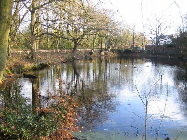 Stanmore: The Fish Pond, Little Common. Viewed looking eastwards towards Wood Lane.