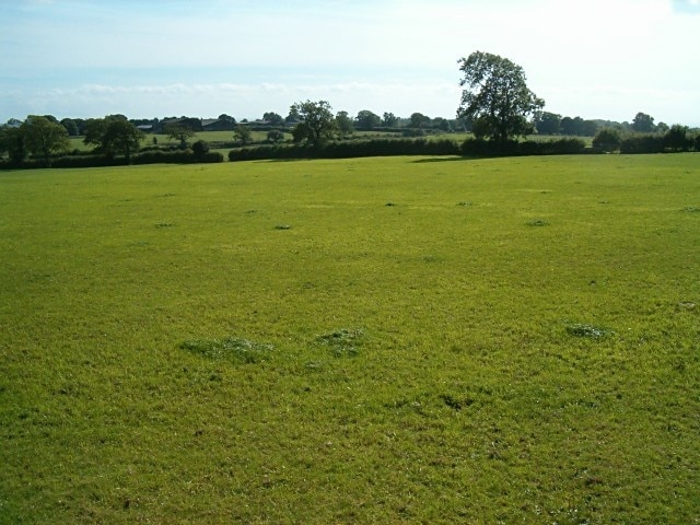 Open Mendip fields. Close to Long Cross.