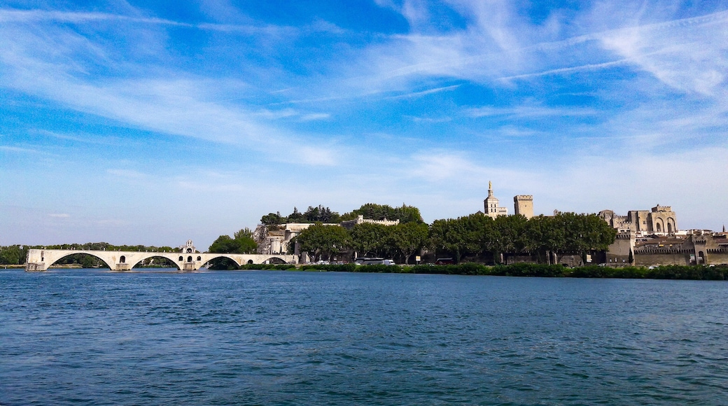 Foto ‘Île de la Barthelasse’ van AlineRockstud68 (CC BY-SA) / bijgesneden versie van origineel