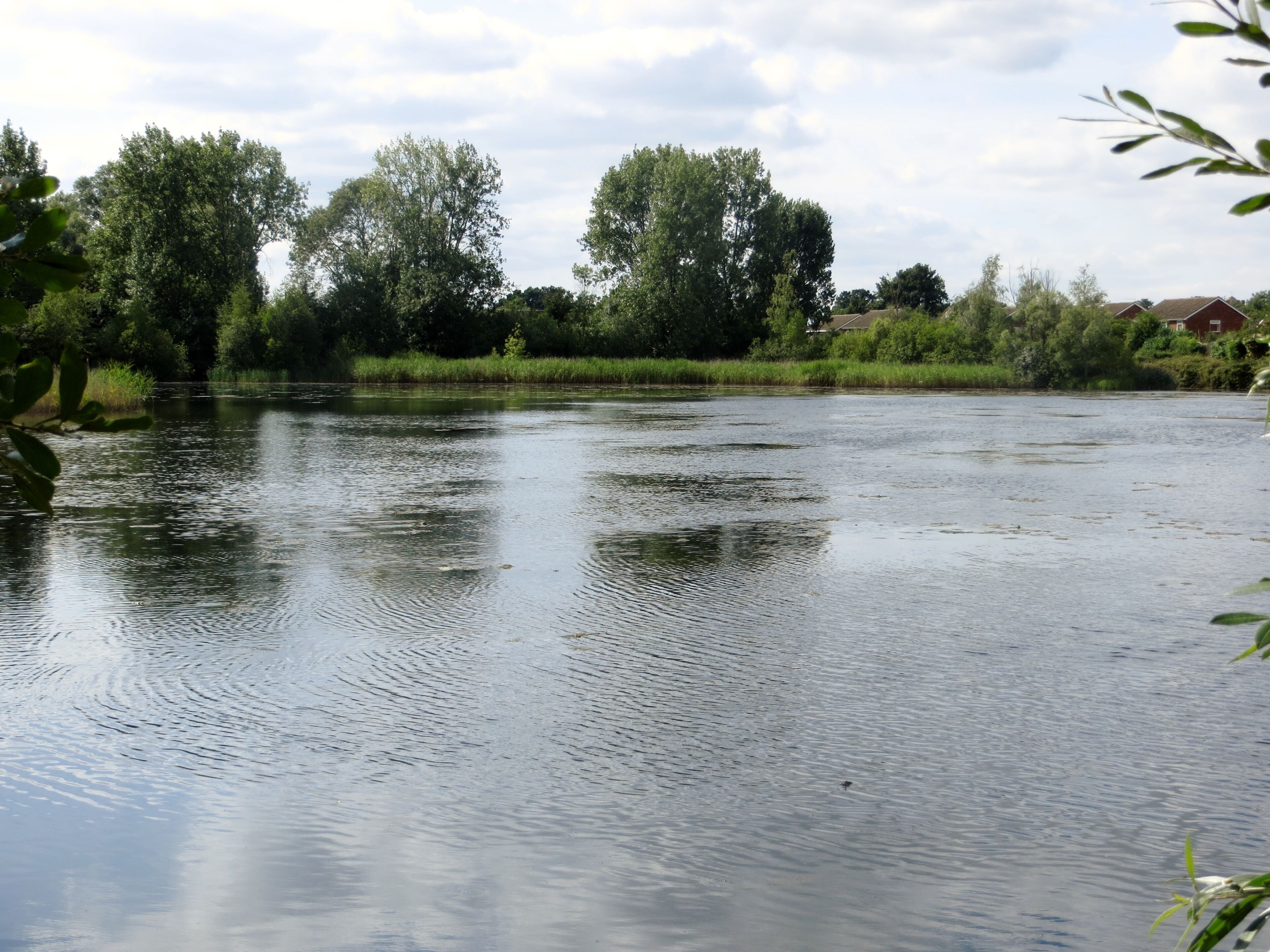 Foto “Little Paxton” tomada por Forester2009 (CC BY-SA); recorte de la original