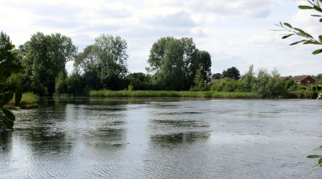 Foto “Little Paxton” tomada por Forester2009 (CC BY-SA); recorte de la original