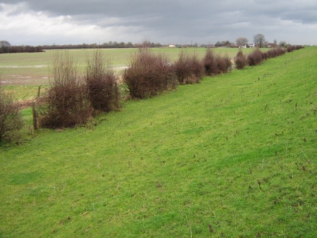 Hawthorn view Looking along the river bank towards Brickhill Farm.