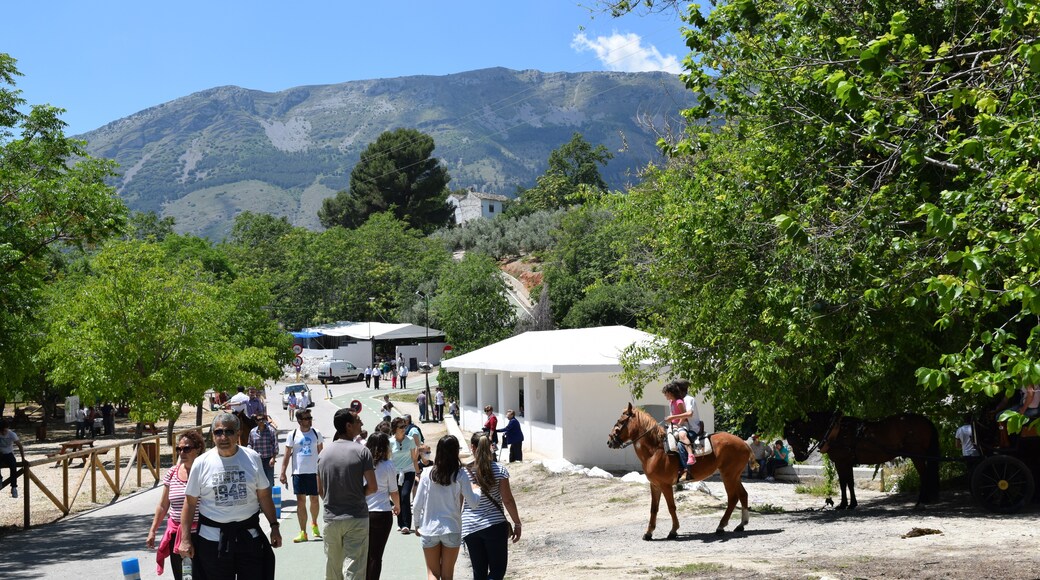 Carretas y caballos en las cercanías del lavadero