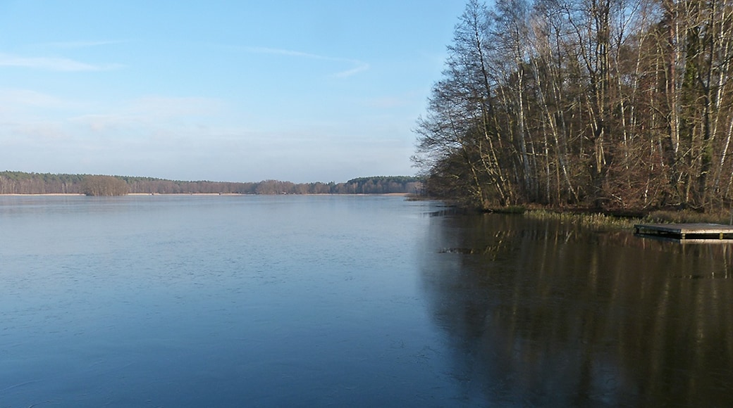 Bildet «Naturpark Uckermärkische Seen» tatt av Brunhilde Schaefer (CC BY-SA) / originalbilde beskjært