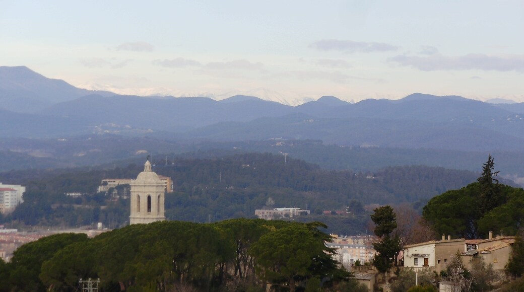 Foto "Torre Gironella" de klimmanet (CC BY) / Recortada de la original