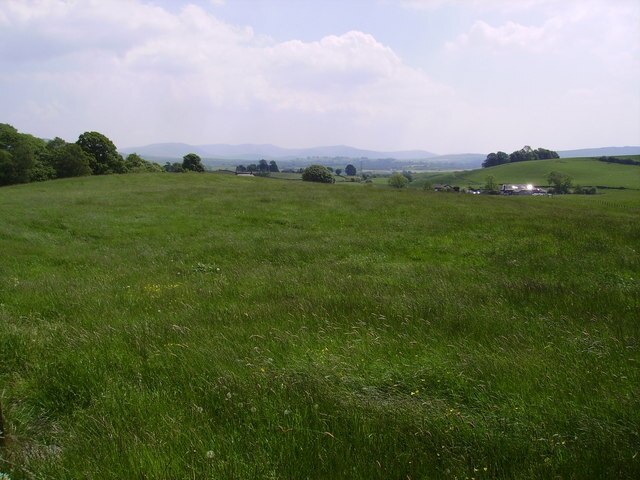 Meadow, Selside. Looking towards the Howgills.