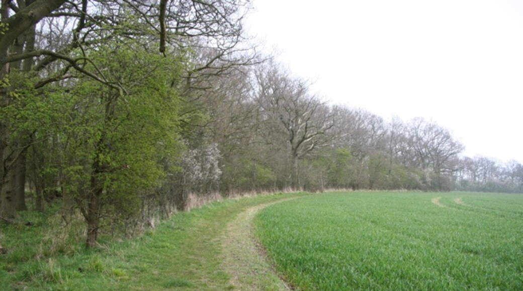 Kuva ”Langley” käyttäjältä Duncan Grey (CC BY-SA) / rajattu alkuperäisestä kuvasta