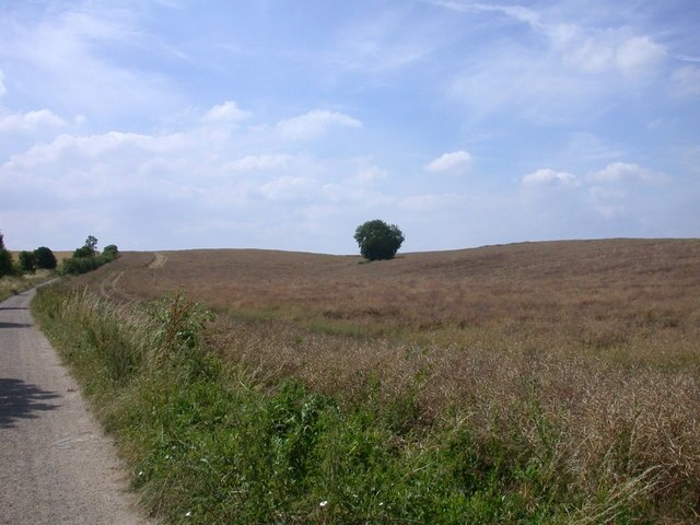 Photo "Great Eversden" by Keith Edkins (CC BY-SA) / Cropped from original