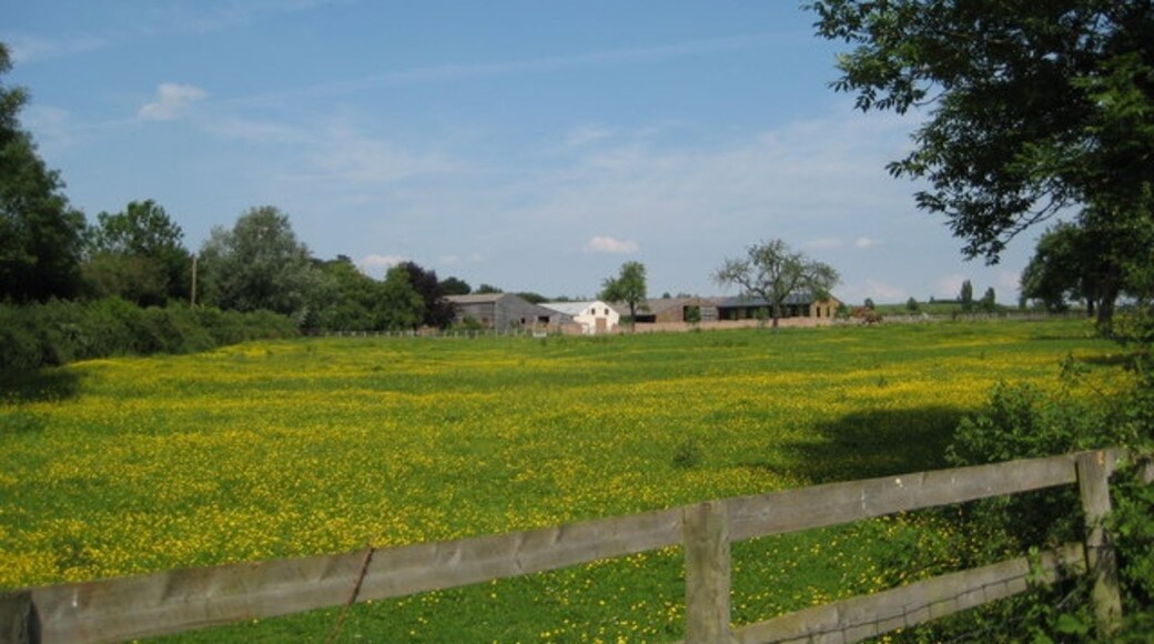 Foto “North Piddle” tomada por Philip Halling (CC BY-SA); recorte de la original