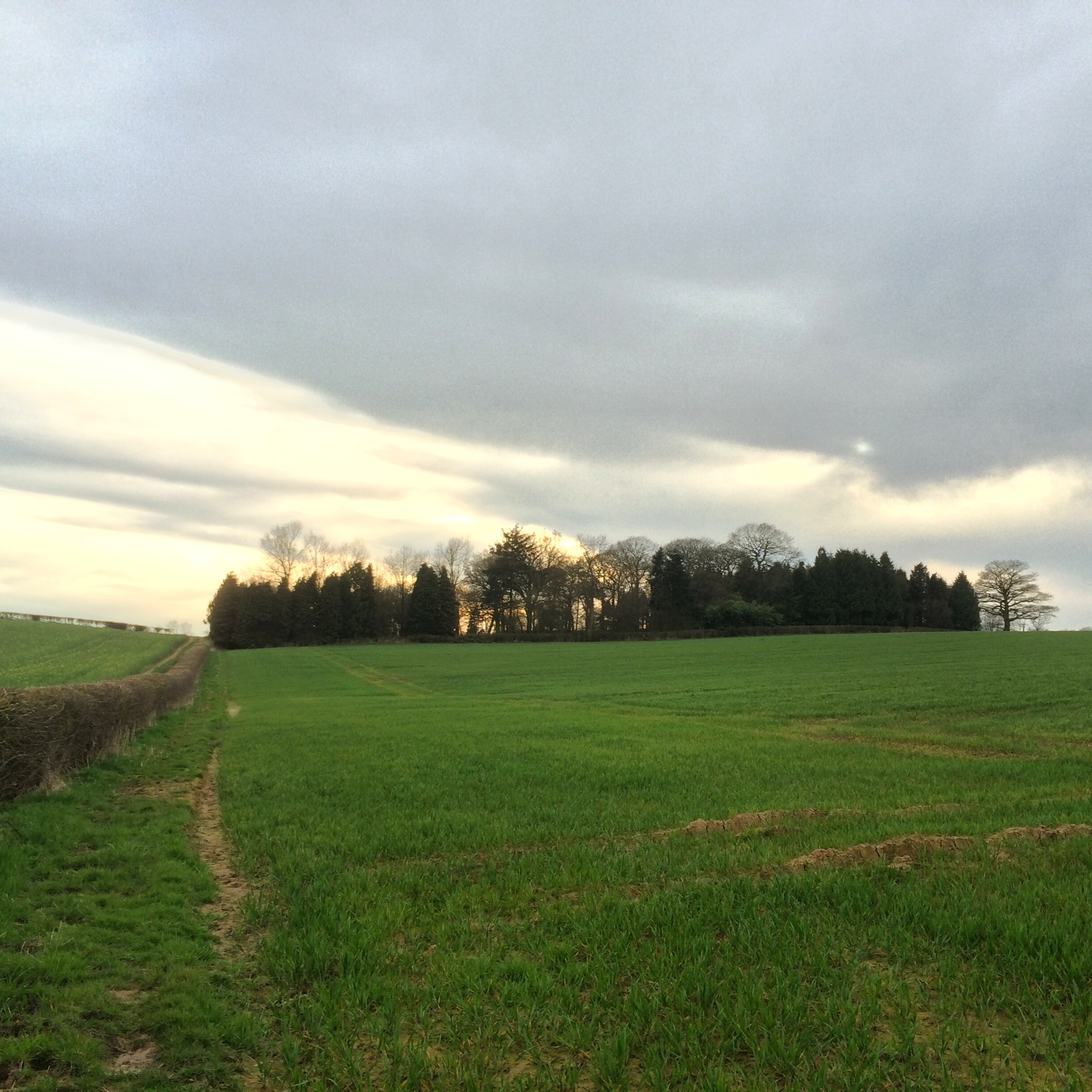 Photo "Monkhopton" by L. Carlos (CC BY-SA) / Cropped from original