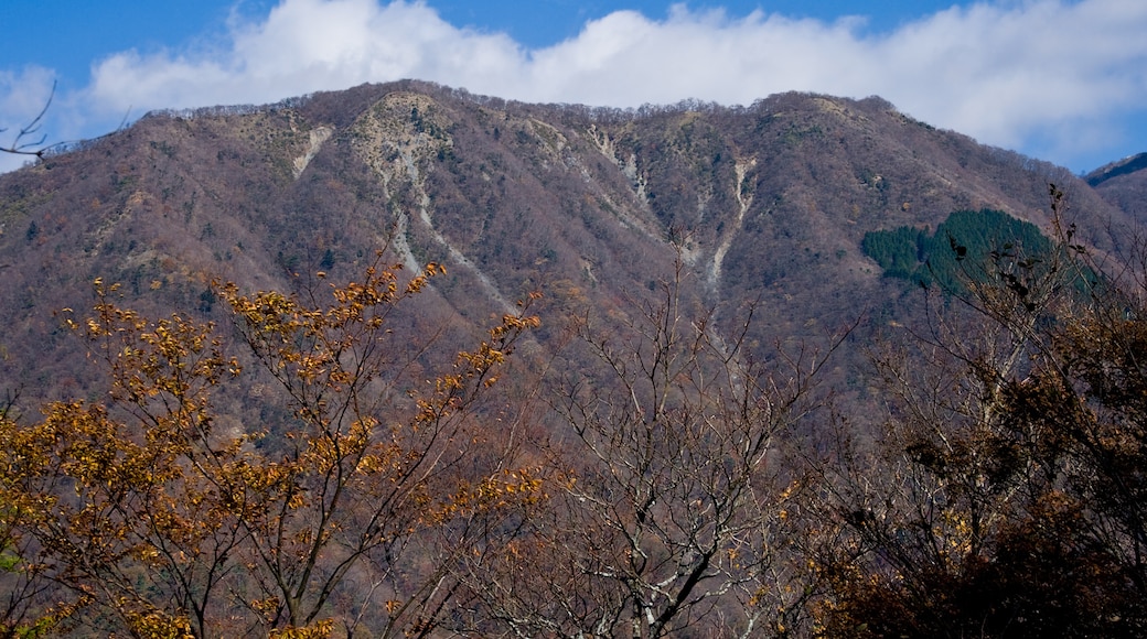 Photo "Tanzawa-Oyama Quasi-National Park" by Σ64 (CC BY-SA) / Cropped from original