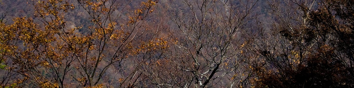 Photo "栗ノ木洞より望む小丸" by Σ64 (Creative Commons Attribution-Share Alike 3.0) / Cropped from original