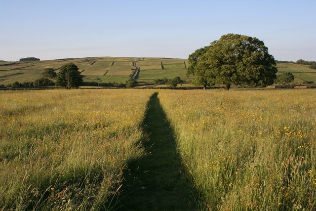 Foto “Thornthwaite con Padside” tomada por Mick Armitage (CC BY-SA); recorte de la original