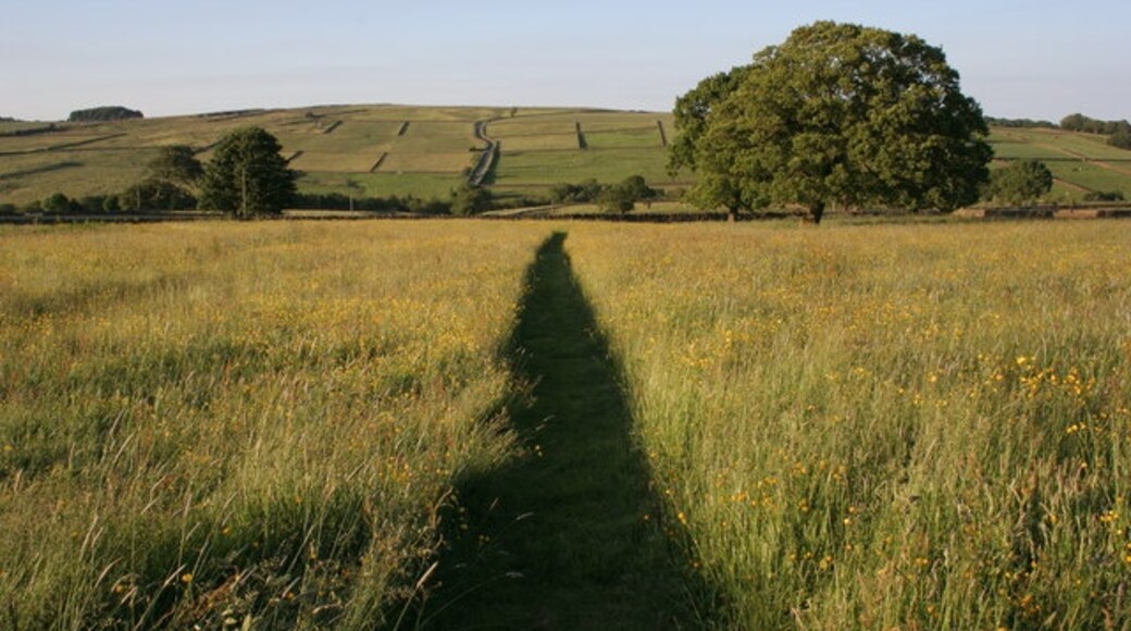 Foto “Thornthwaite con Padside” tomada por Mick Armitage (CC BY-SA); recorte de la original