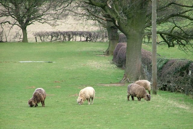 Foto “Great and Little Broughton” tomada por Mick Garratt (CC BY-SA); recorte de la original