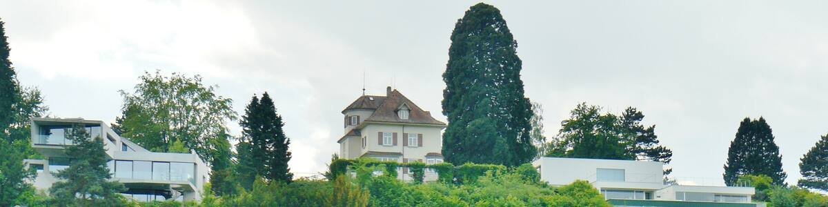 Photo "Am Untersee" by qwesy qwesy (Creative Commons Attribution 3.0) / Cropped from original
