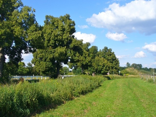 Neubeeren - Feldrand