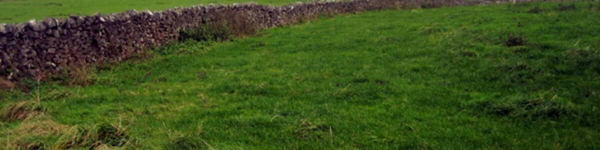 Photo "Fields above Tideswell This is limestone wall country with the fields used mainly for grazing cattle and sheep." by Roger Temple (Creative Commons Attribution-Share Alike 2.0) / Cropped from original