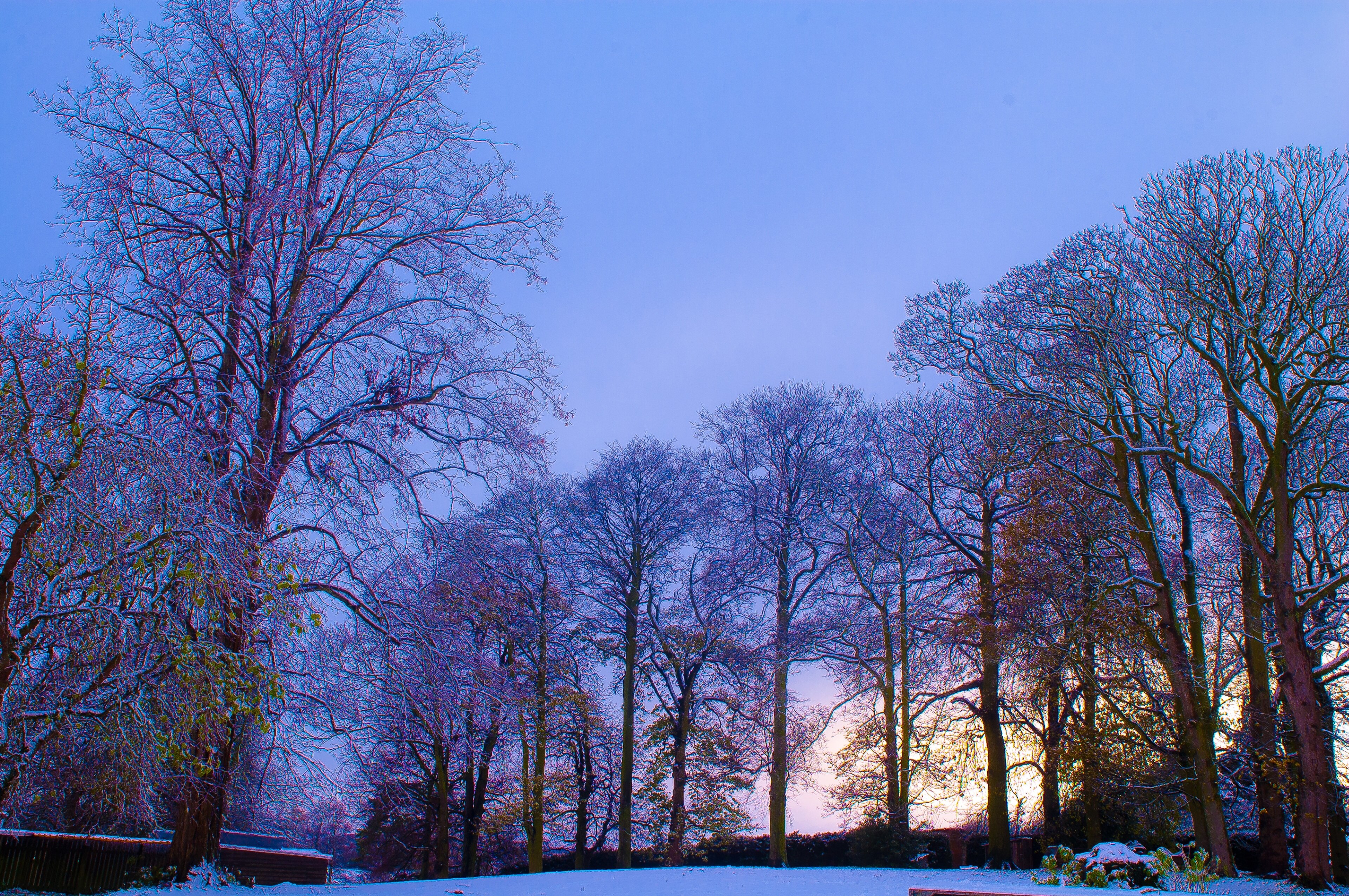 Foto “Langton” tomada por Thomas Tolkien (CC BY); recorte de la original