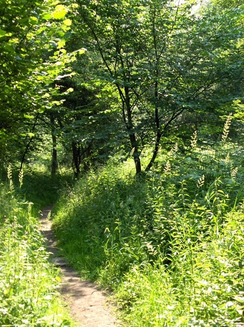 "St Cuthbert Without"-foto av Andrew Smith (CC BY-SA) / Urklipp från original