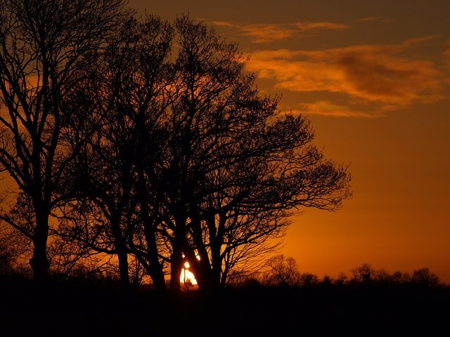 "Thorngumbald"-foto av Andy Beecroft (CC BY-SA) / Urklipp från original
