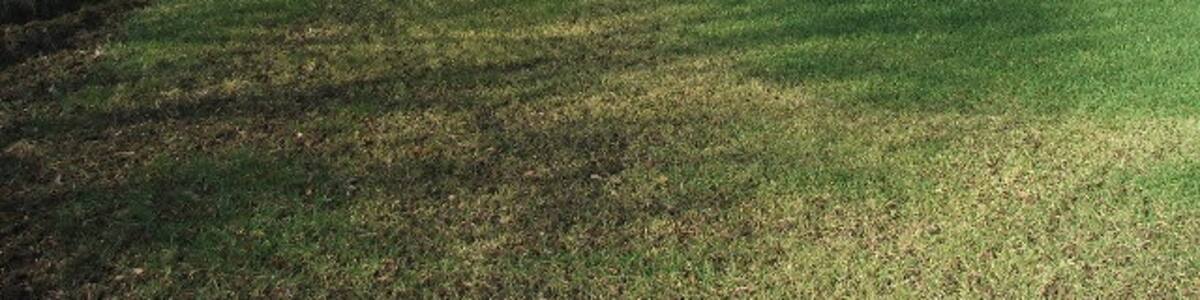 Photo "Farmland between Fitzwilliam and Havercroft. Looking NW towards Horncastle Hill from Newstead Lane at the end of Carr Lane." by Steve Partridge (Creative Commons Attribution-Share Alike 2.0) / Cropped from original