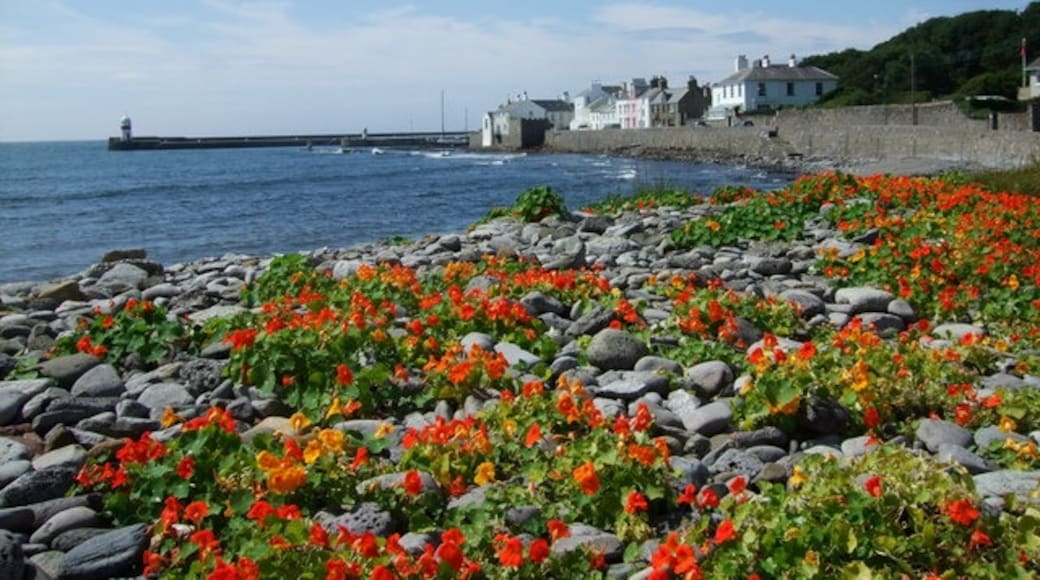 Photo "Castletown" by Richard Hoare (CC BY-SA) / Cropped from original