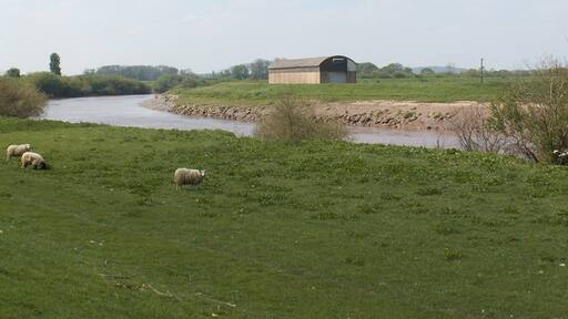 Foto “Barlow” tomada por Keith Rattenbury (CC BY-SA); recorte de la original