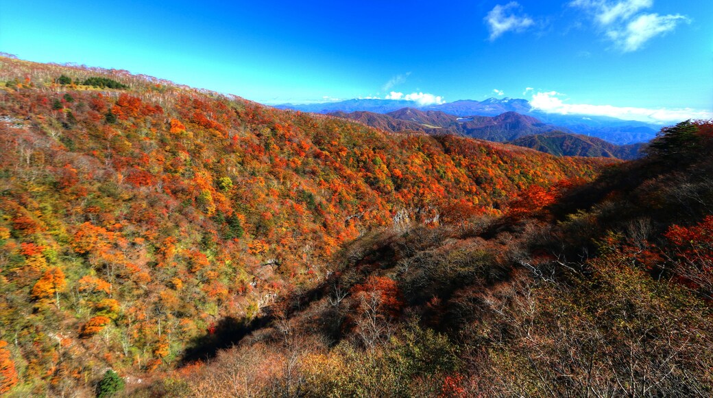 Billede "Kirifuri Højland" af くろふね (CC BY) / beskåret fra det originale billede